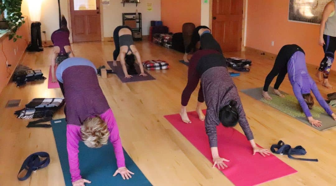 A group of yogis attending a class at Curative Yoga Bigfork