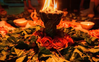 Omar’s Dream – Wine of Love